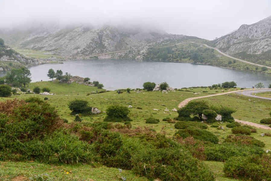 Principado de Asturias 049 - parque nacional de los Picos de Europa - lago Enol.jpg